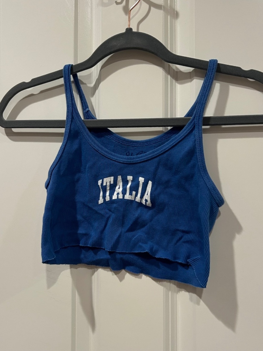 Brandy Melville Italia Mirco Ribbed Tank Crop Top